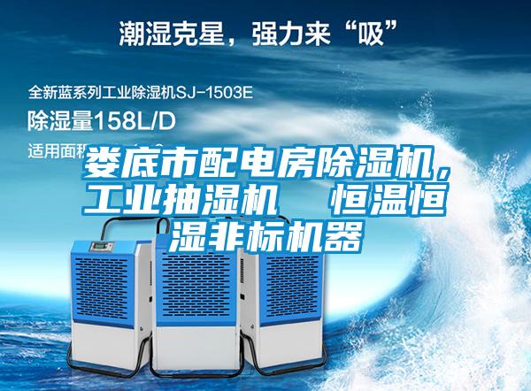 娄底市配电房香蕉福利视频机，工业抽湿机  恒温恒湿非标机器