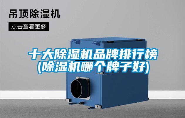 十大香蕉福利视频机品牌排行榜(香蕉福利视频机哪个牌子好)