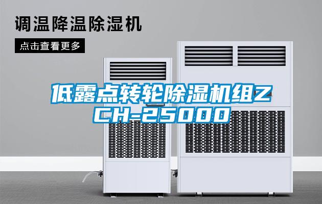 低露点转轮香蕉福利视频机组ZCH-25000