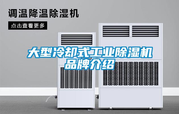 大型冷却式工业香蕉福利视频机品牌介绍