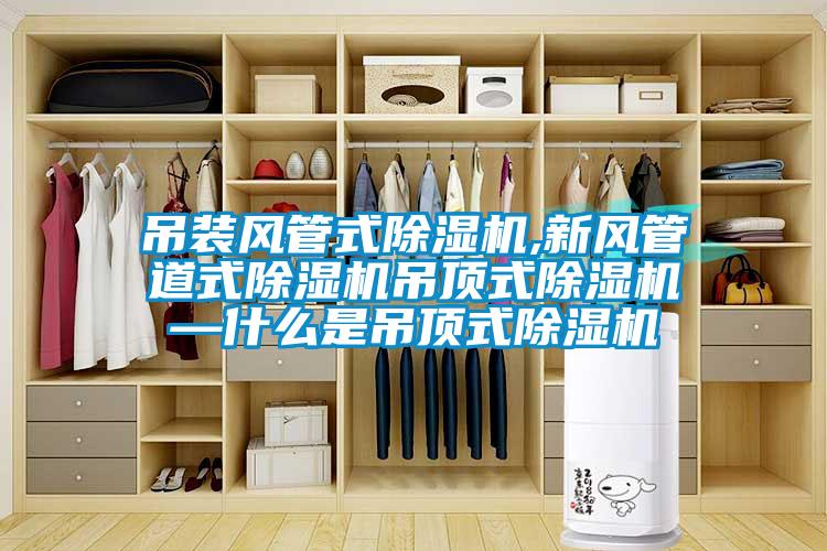 吊装风管式香蕉福利视频机,新风管道式香蕉福利视频机吊顶式香蕉福利视频机—什么是吊顶式香蕉福利视频机