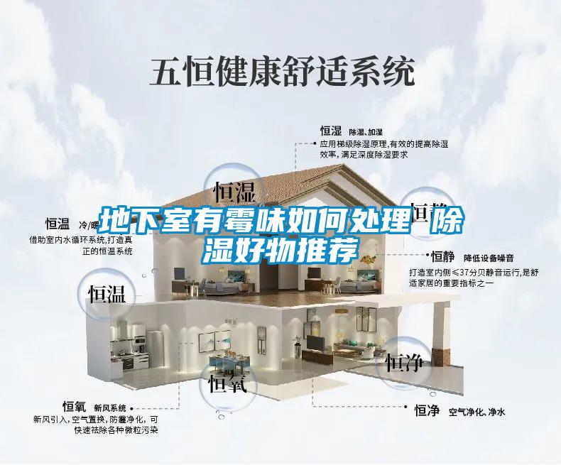 地下室有霉味如何处理 香蕉福利视频好物推荐