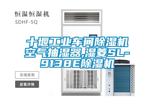 十堰工业车间香蕉福利视频机空气抽湿器,湿菱SL-9138E香蕉福利视频机