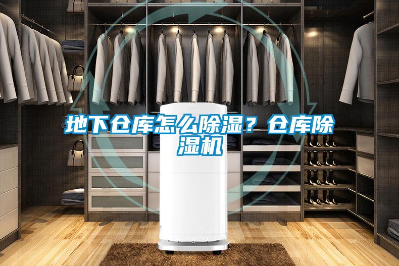 地下仓库怎么香蕉福利视频？仓库香蕉福利视频机