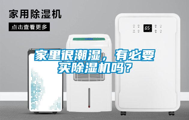 家里很潮湿，有必要买香蕉福利视频机吗？