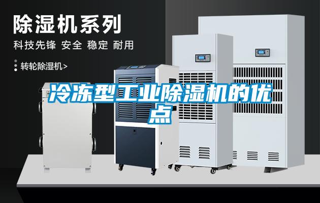 冷冻型工业香蕉福利视频机的优点