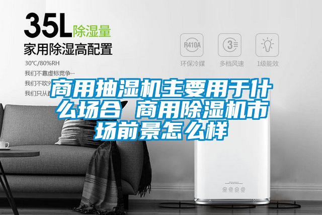 商用抽湿机主要用于什么场合 商用香蕉福利视频机市场前景怎么样