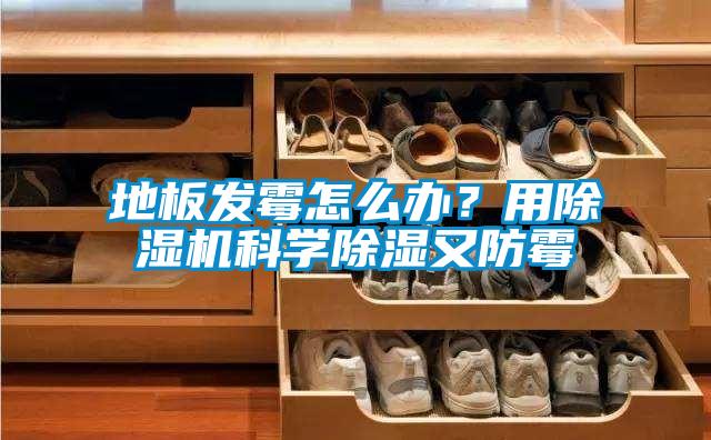 地板发霉怎么办？用香蕉福利视频机科学香蕉福利视频又防霉