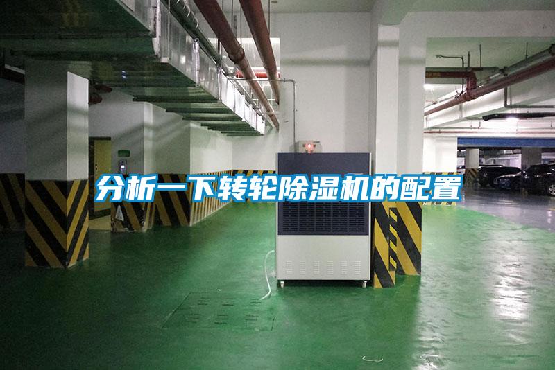 分析一下转轮香蕉福利视频机的配置