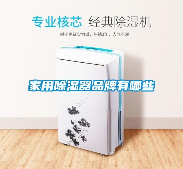 家用香蕉福利视频器品牌有哪些