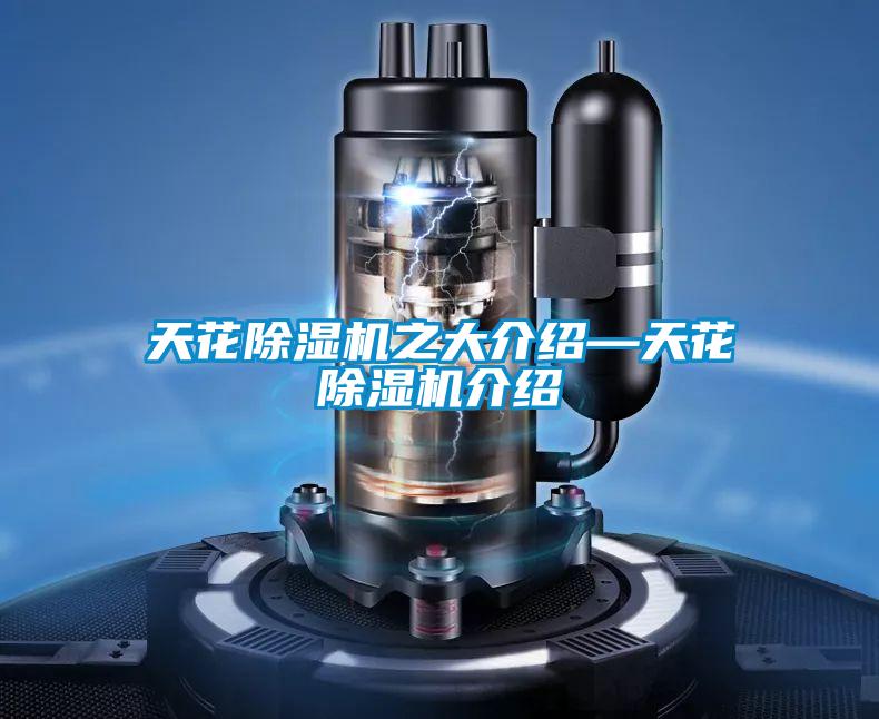 天花香蕉福利视频机之大介绍—天花香蕉福利视频机介绍