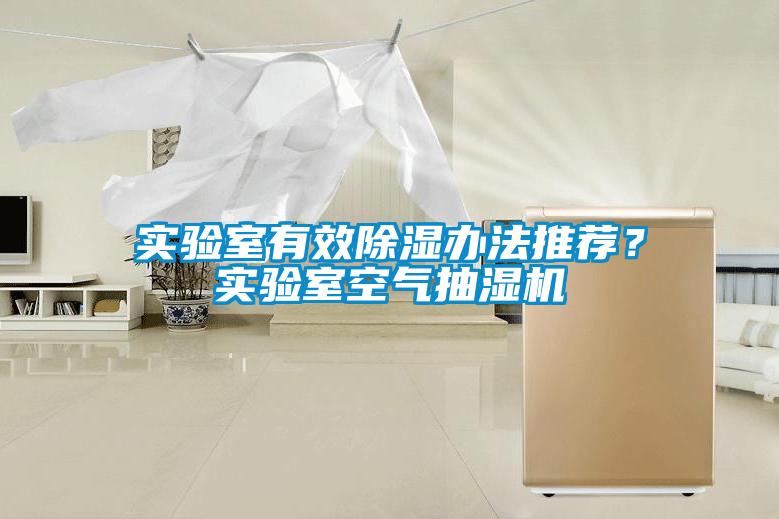 实验室有效香蕉福利视频办法推荐？实验室空气抽湿机