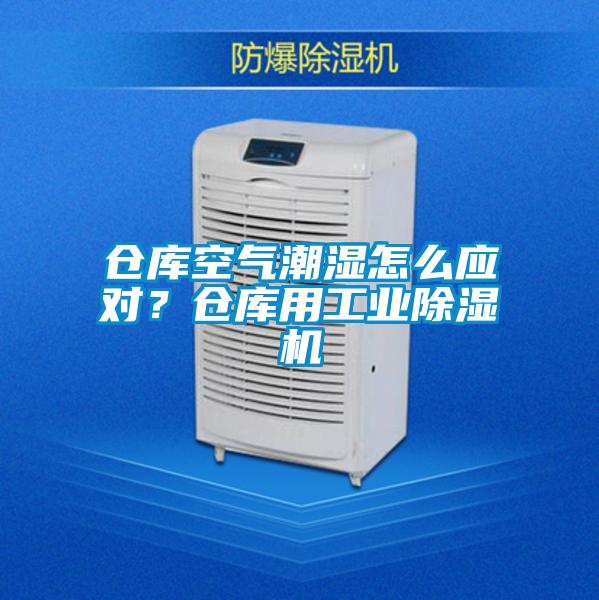 仓库空气潮湿怎么应对？仓库用工业香蕉福利视频机
