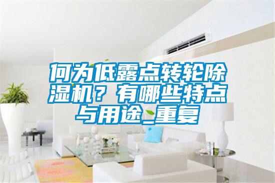 何为低露点转轮香蕉福利视频机？有哪些特点与用途_重复
