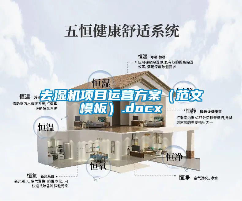 去湿机项目运营香蕉黄色APP网址（范文模板）.docx