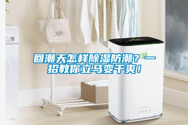 回潮天怎样香蕉福利视频防潮？一招教你立马变干爽！