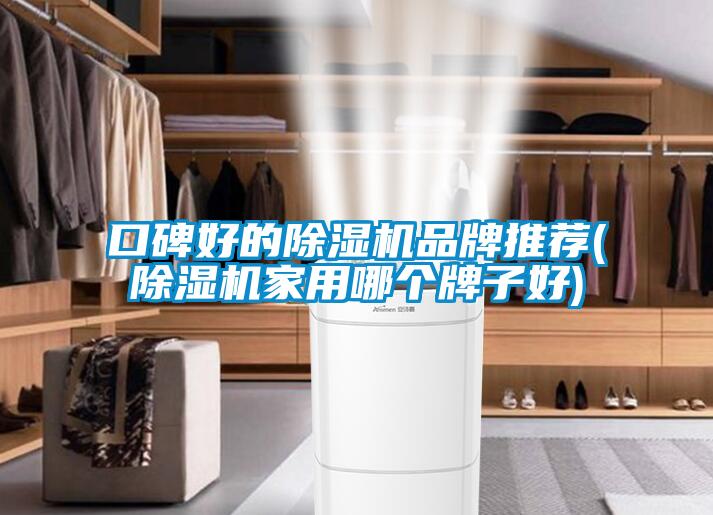 口碑好的香蕉福利视频机品牌推荐(香蕉福利视频机家用哪个牌子好)