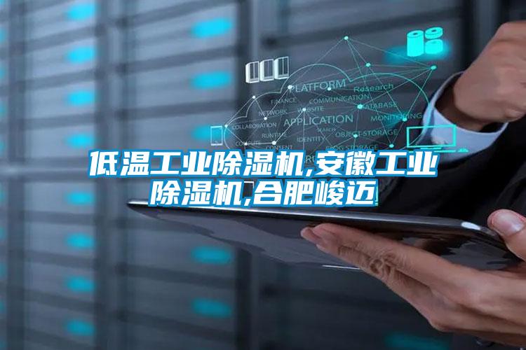 低温工业香蕉福利视频机,安徽工业香蕉福利视频机,合肥峻迈