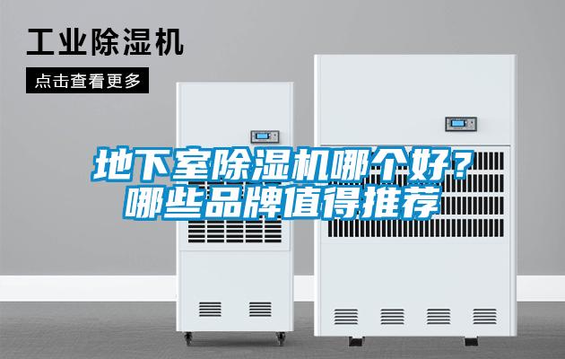 地下室香蕉福利视频机哪个好？哪些品牌值得推荐