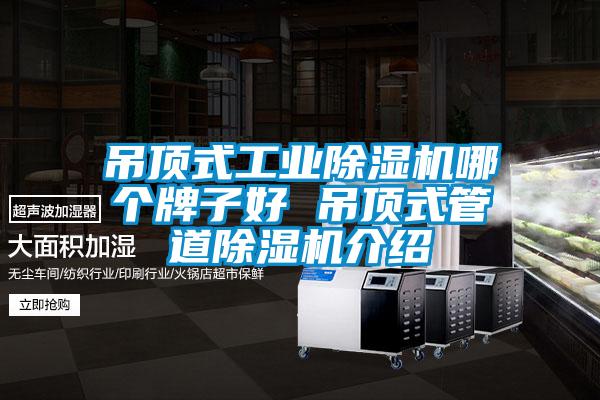 吊顶式工业香蕉福利视频机哪个牌子好 吊顶式管道香蕉福利视频机介绍