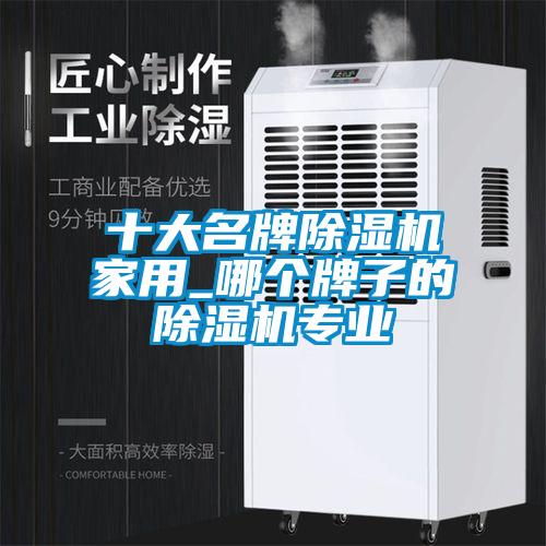 十大名牌香蕉福利视频机家用_哪个牌子的香蕉福利视频机专业