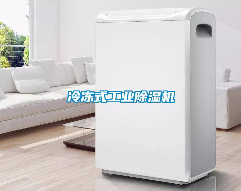 冷冻式工业香蕉福利视频机