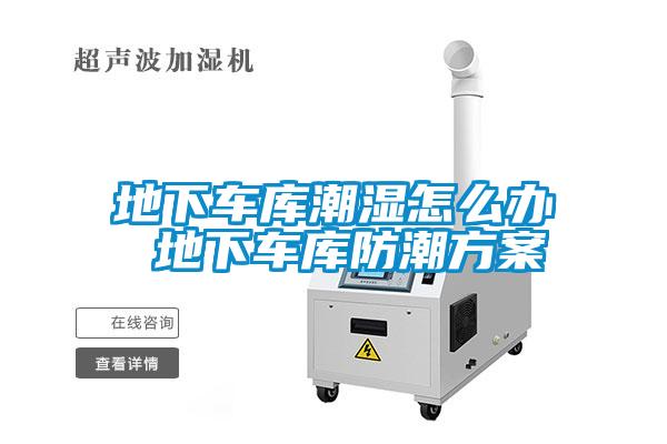 地下车库潮湿怎么办 地下车库防潮香蕉黄色APP网址