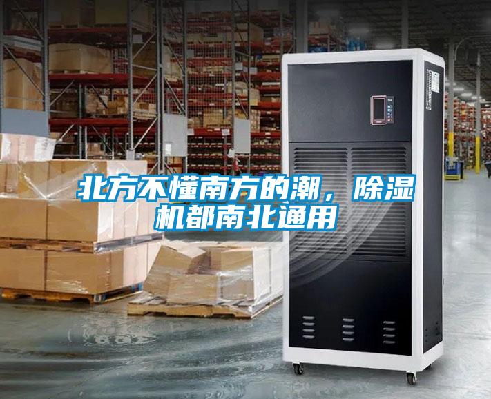北方不懂南方的潮，香蕉福利视频机都南北通用