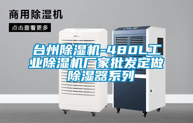 台州香蕉福利视频机-480L工业香蕉福利视频机厂家批发定做 香蕉福利视频器系列