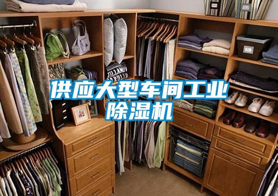 供应大型车间工业香蕉福利视频机