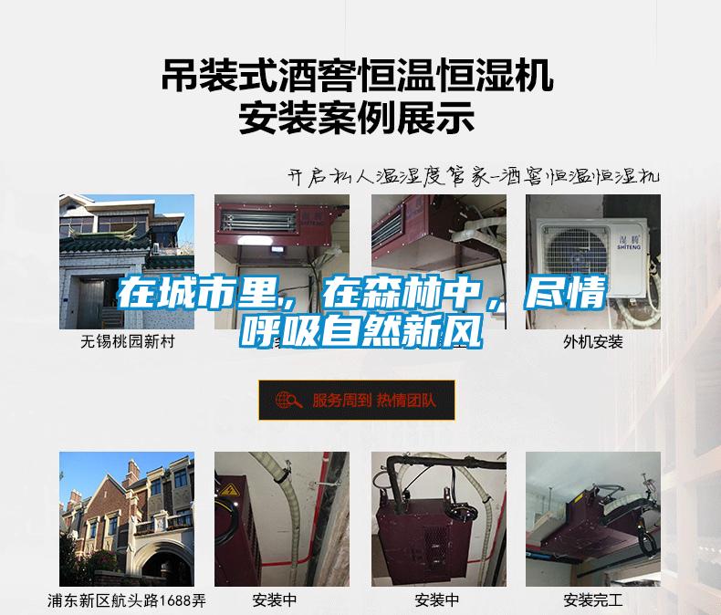 在城市里，在森林中，尽情呼吸自然新风