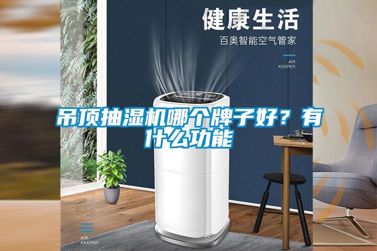 吊顶抽湿机哪个牌子好？有什么功能