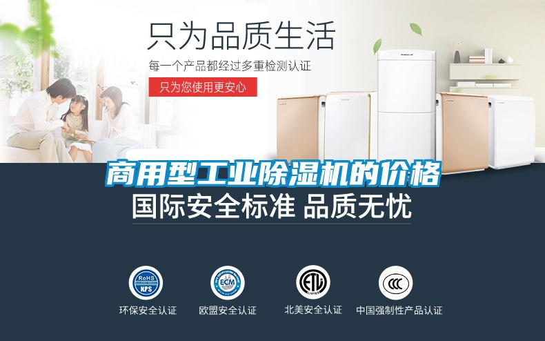 商用型工业香蕉福利视频机的价格