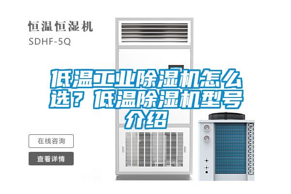 低温工业香蕉福利视频机怎么选？低温香蕉福利视频机型号介绍