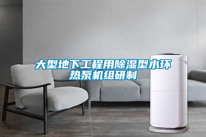 大型地下工程用香蕉福利视频型水环热泵机组研制
