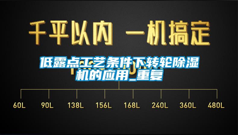 低露点工艺条件下转轮香蕉福利视频机的应用_重复