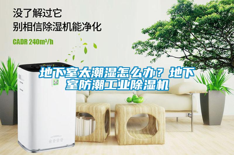 地下室太潮湿怎么办？地下室防潮工业香蕉福利视频机