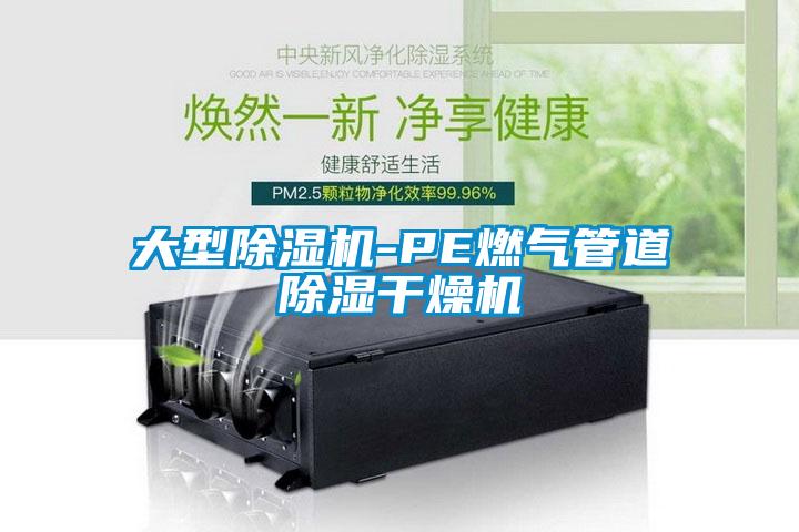 大型香蕉福利视频机-PE燃气管道香蕉福利视频干燥机