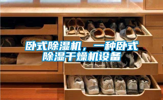 卧式香蕉福利视频机，一种卧式香蕉福利视频干燥机设备