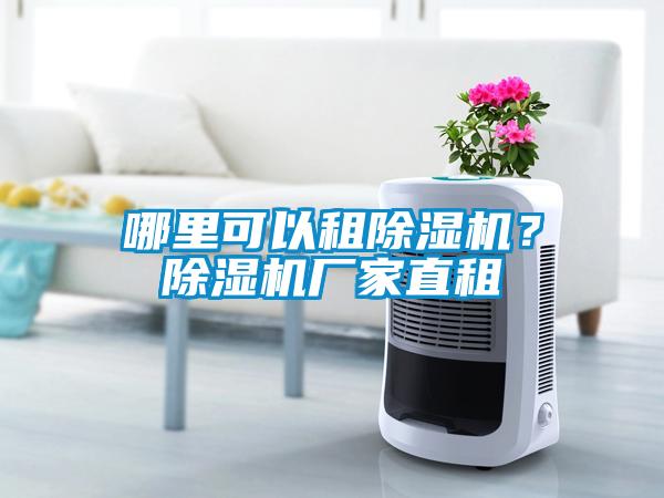 哪里可以租香蕉福利视频机？香蕉福利视频机厂家直租