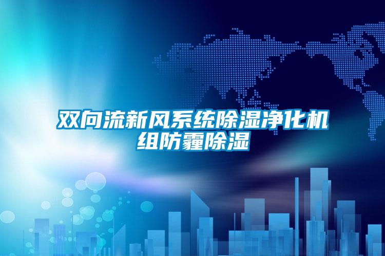 双向流新风系统香蕉福利视频净化机组防霾香蕉福利视频