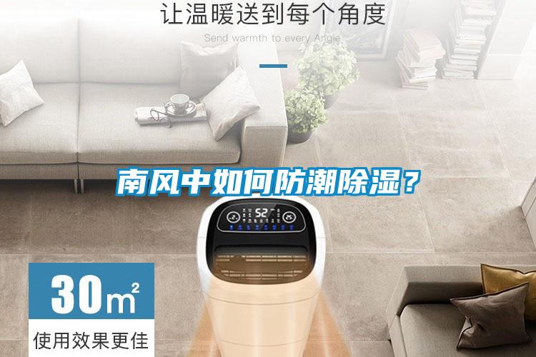 南风中如何防潮香蕉福利视频？