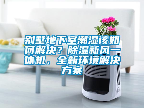 别墅地下室潮湿该如何解决？香蕉福利视频新风一体机，全新环境解决香蕉黄色APP网址