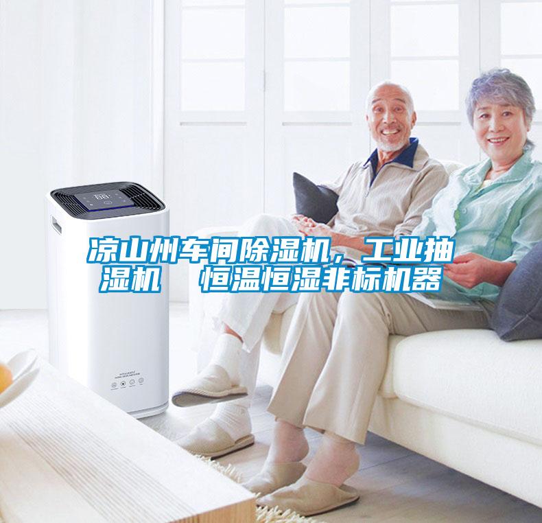 凉山州车间香蕉福利视频机，工业抽湿机  恒温恒湿非标机器