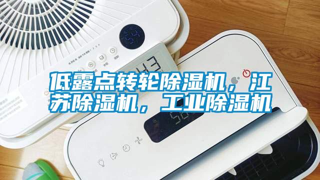 低露点转轮香蕉福利视频机，江苏香蕉福利视频机，工业香蕉福利视频机
