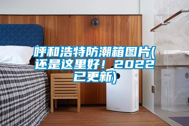呼和浩特防潮箱图片(还是这里好！2022已更新)