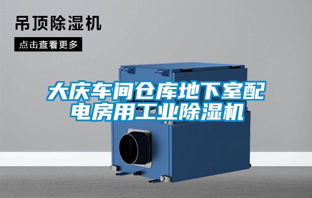 大庆车间仓库地下室配电房用工业香蕉福利视频机