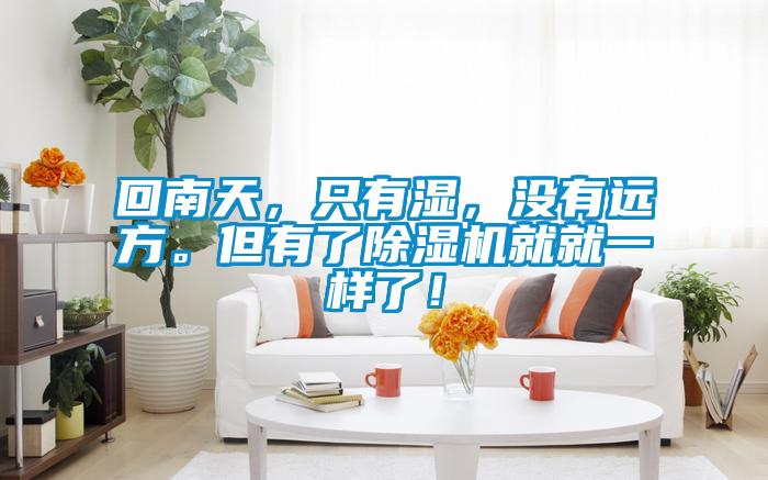 回南天，只有湿，没有远方。但有了香蕉福利视频机就就一样了！