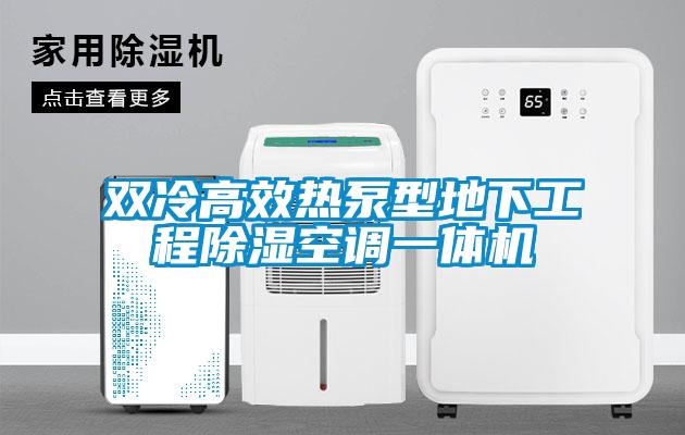 双冷高效热泵型地下工程香蕉福利视频空调一体机