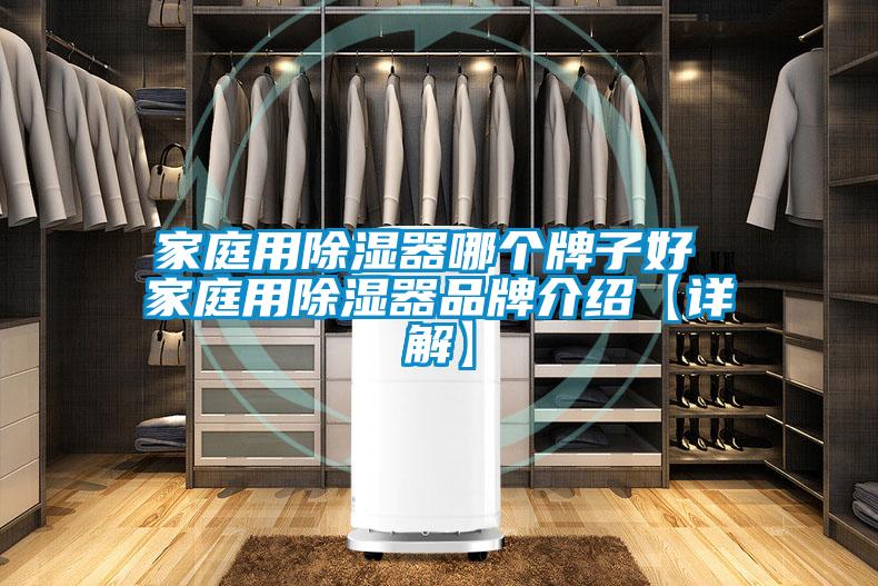 家庭用香蕉福利视频器哪个牌子好 家庭用香蕉福利视频器品牌介绍【详解】